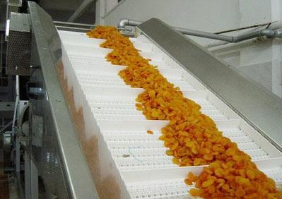 食品網(wǎng)帶輸送機(jī)