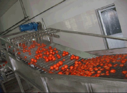 果蔬輸送機(jī)