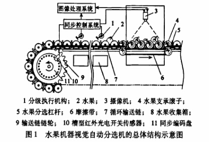 水果自動(dòng)分揀輸送機(jī)分級(jí)卸料原理