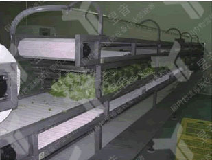 解析多層網(wǎng)帶輸送機快速進行物料翻轉(zhuǎn)