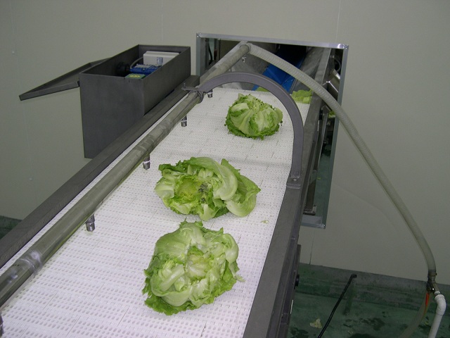 網(wǎng)帶輸送機(jī)