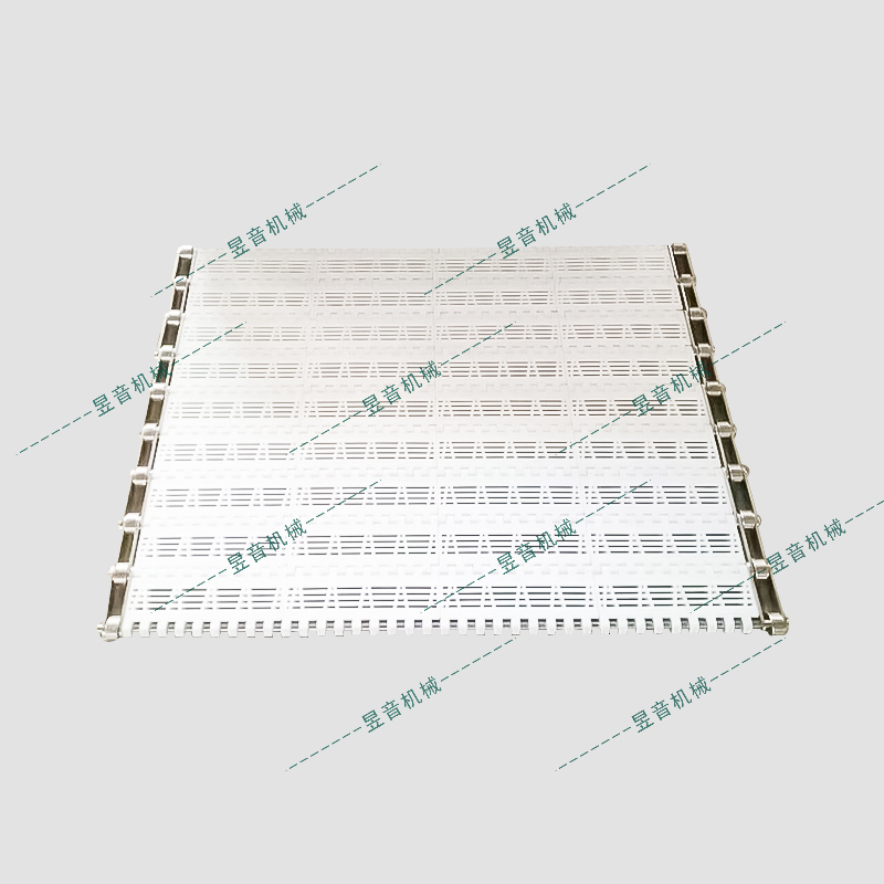 1610帶鏈條網(wǎng)帶